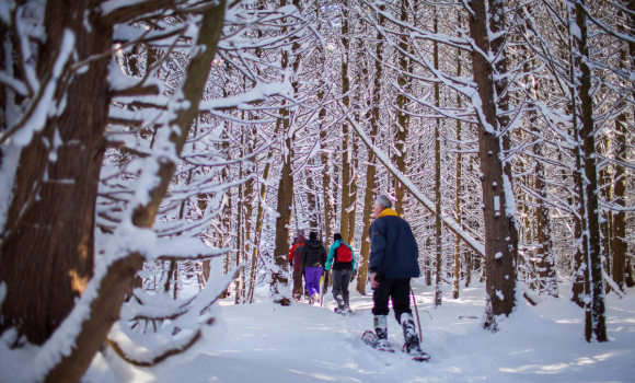 Group of people snowshoeing a Bruce County trail in the wintertime