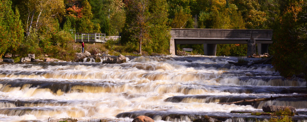wide shot of the water cascading at Sauble Falls. The surrounding trees are shades of green and burnt orange.