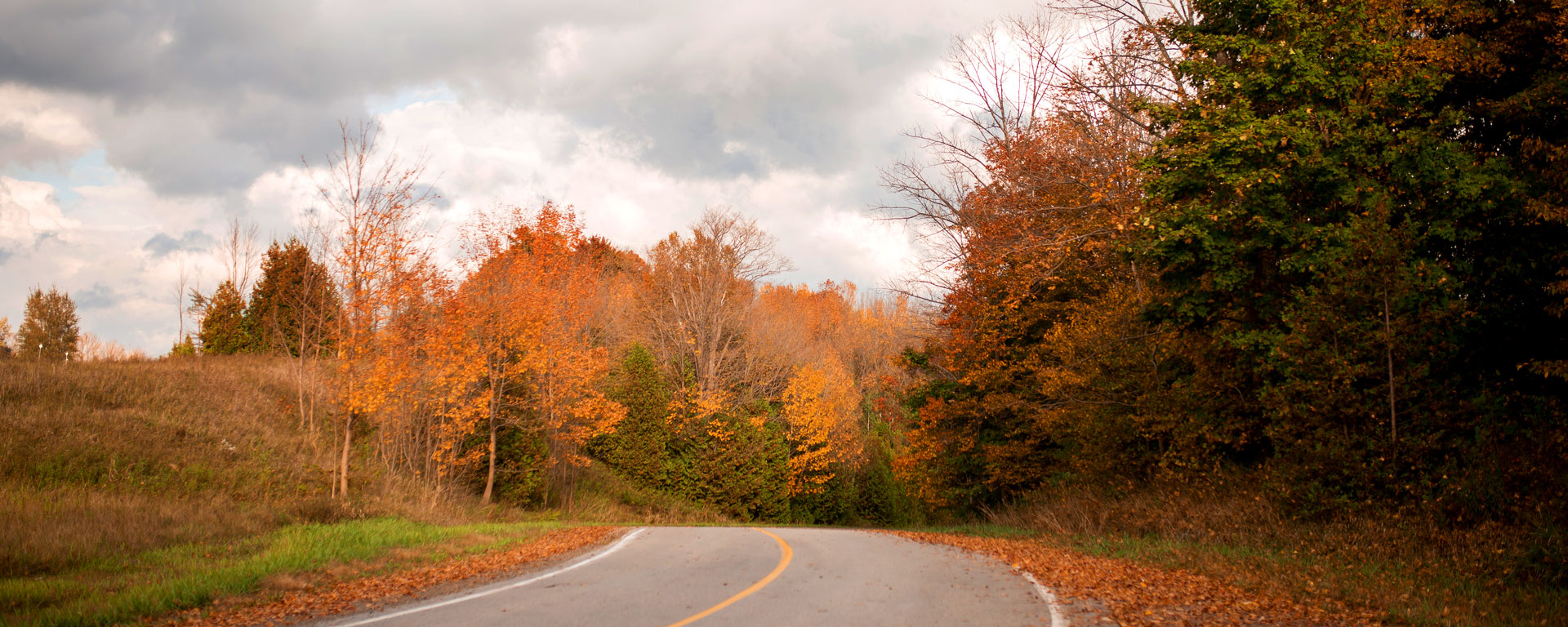 A curve in a road, lined with trees ablaze with fall colours