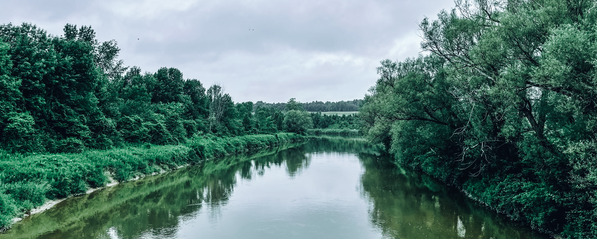Looking down the Saugeen River. The cloudy sky is reflected on the water's surface. The river is flanked by deep green trees