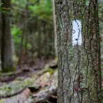 Bruce Trail Markers