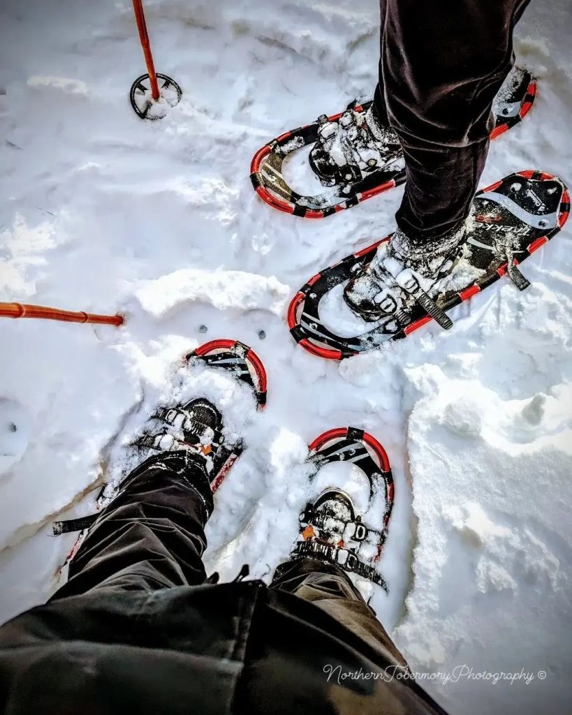 Snowshoes in winter