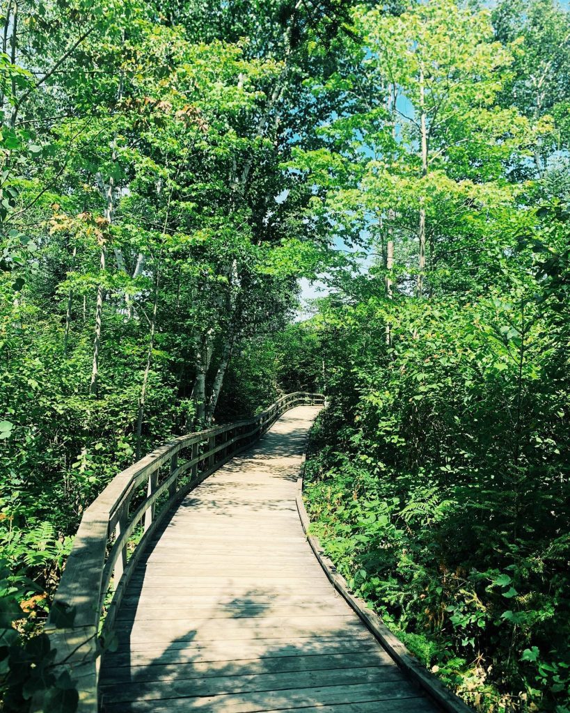 Trail in MacGregor Point Provincial Park
