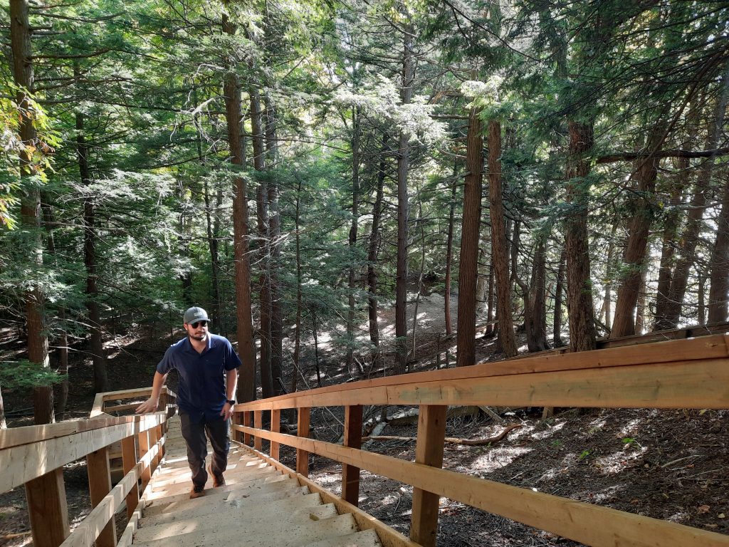 Person walking up staircase in forested trail