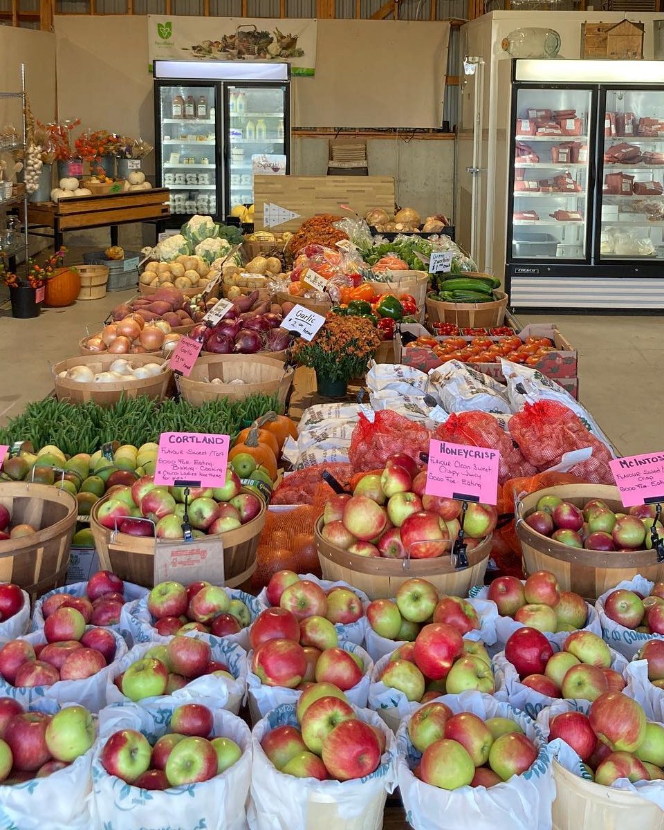 Vegetables and fruit for sale at local market