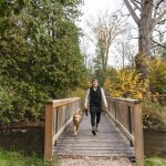Woman walking dog over a wooden bridge in the forest
