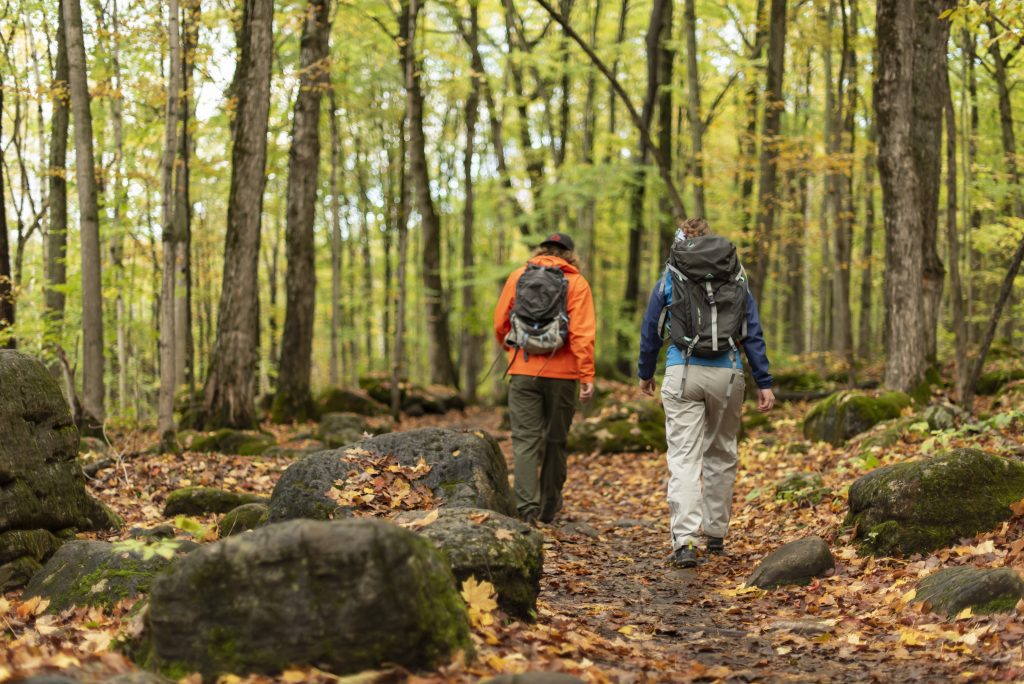 A couple hiking on a trail