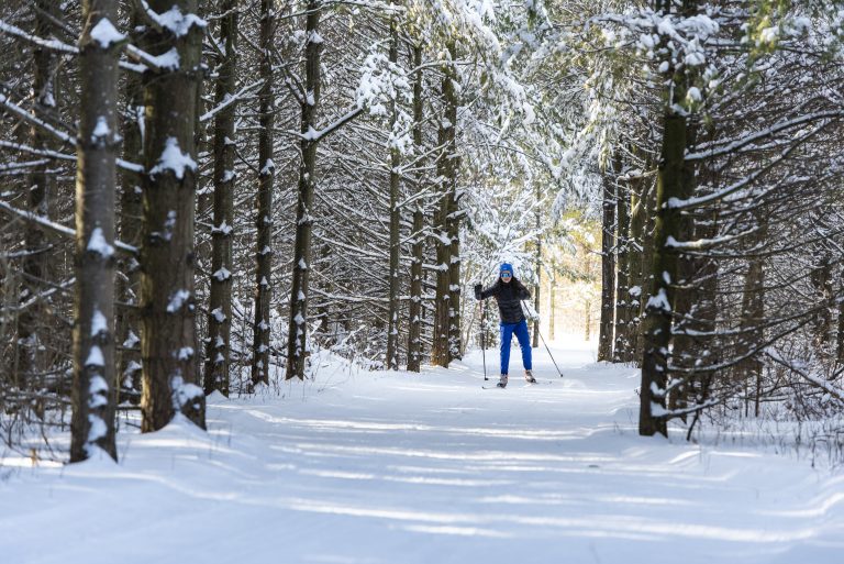 Cross-country skiing in a forest.