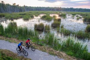 Two bikers on a trail.