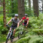 Two mountain bikers on trail
