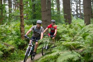 Two mountain bikers on trail