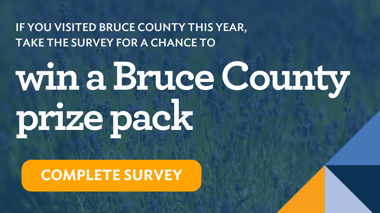 2025 Visitors Survey