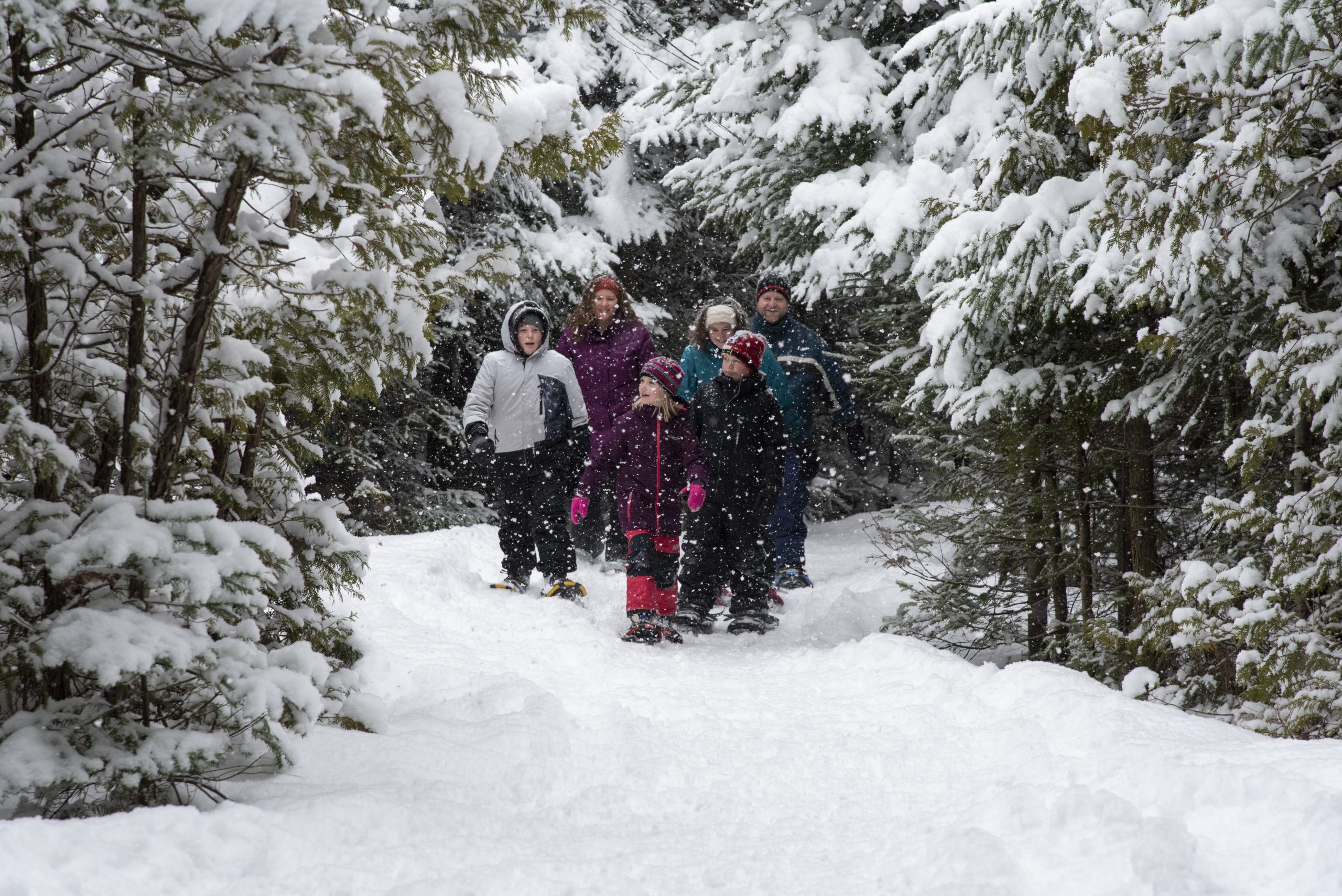 Biener Trail, Port Elgin